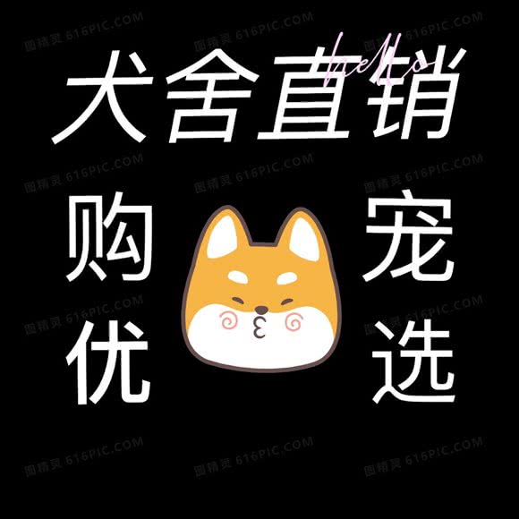 宠爱有家犬舍·猫舍直销:西安市莲湖区大兴新区附近