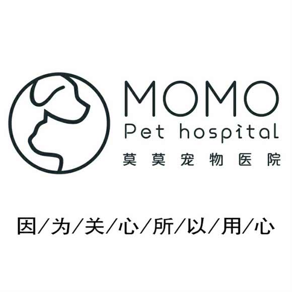 莫莫宠物医院(桃园北路店):西安市莲湖区大兴新区附近