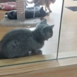 猫侠士:西安市灞桥区浐灞生态区附近