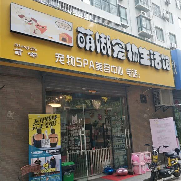 萌嘟宠物生活馆:西安市灞桥区浐灞生态区附近