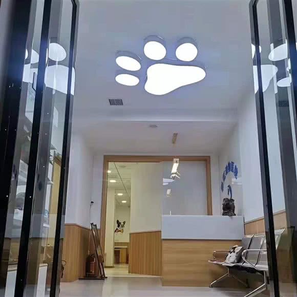 彩虹宠物医院:西安市灞桥区浐灞生态区附近