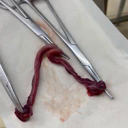 乐派宠物门诊:西安市灞桥区浐灞生态区附近