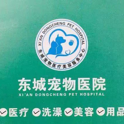 东城宠物医院:西安市灞桥区浐灞生态区附近
