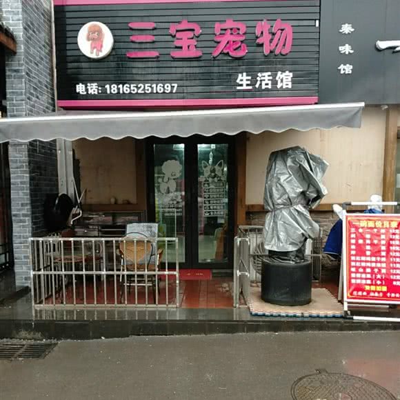 三宝宠物生活馆:西安市灞桥区纺织城附近