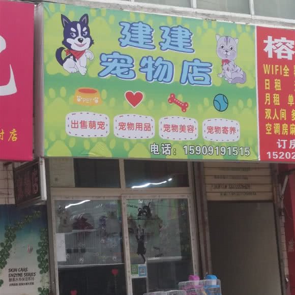 建建宠物店:西安市灞桥区白鹿原附近