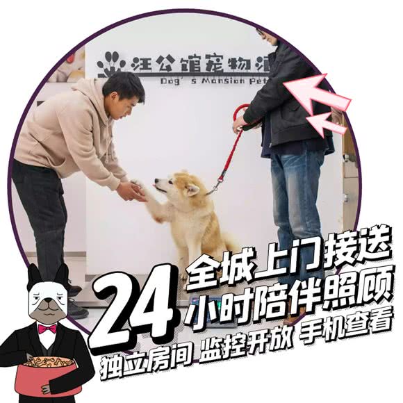 汪公馆宠物酒店:西安市灞桥区白鹿原附近