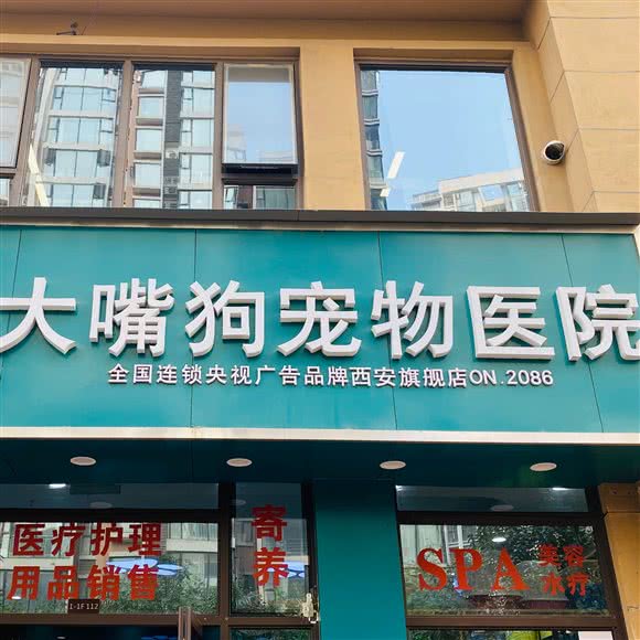 大嘴狗宠物医院:西安市灞桥区长乐坡附近