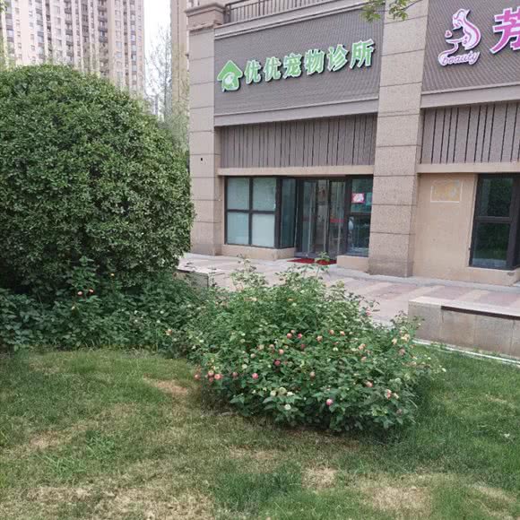 优优宠物诊所:西安市灞桥区浐灞半岛/世园会附近