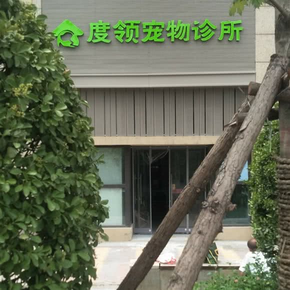 度领宠物诊所:西安市灞桥区浐灞半岛/世园会附近