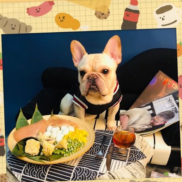 宠宠乐宠物店:西安市未央区张家堡附近