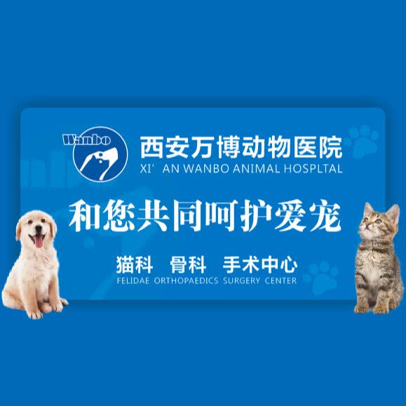 万博宠物医院(未央店):西安市未央区张家堡附近