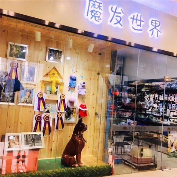 邪神发世界宠物:西安市未央区未央路沿线附近