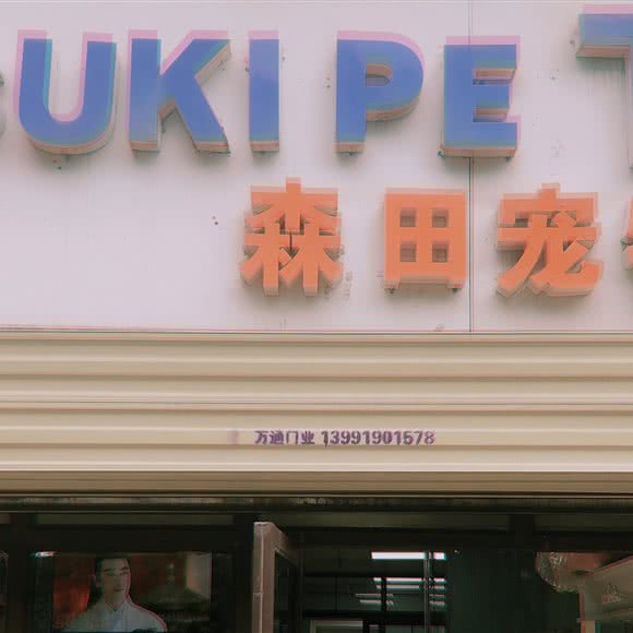 森田宠物(常青二路店):西安市未央区未央路沿线附近