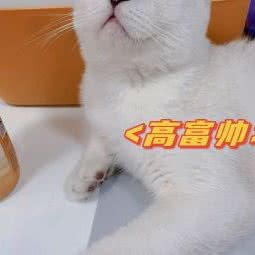 宠宠小萌友:唐山市路北区爱琴海购物公园附近