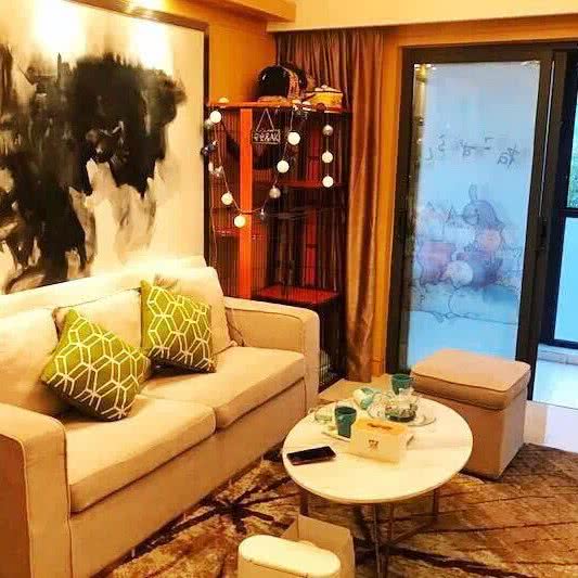 有家狗窝:西安市未央区未央路沿线附近