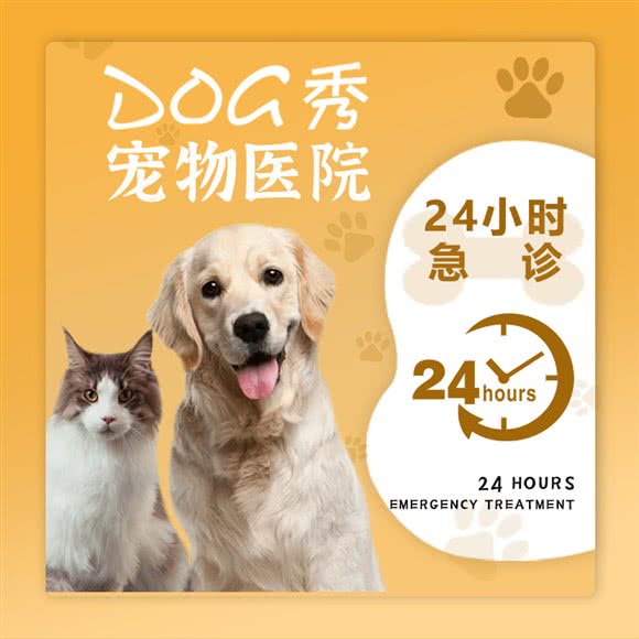 DOG秀（道格秀）宠物医院(颐和郡店):西安市未央区未央路沿线附近