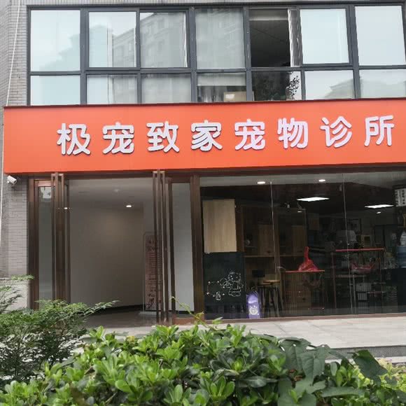 极为宠致家宠物诊所:西安市未央区未央路沿线附近