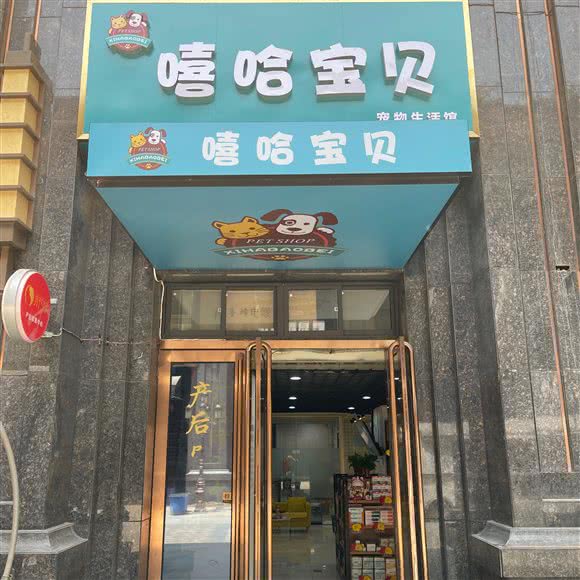 嘻哈宝贝宠物狗生活馆:西安市未央区大明宫万达附近