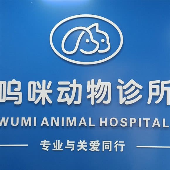 呜咪动物诊所:西安市未央区大明宫万达附近
