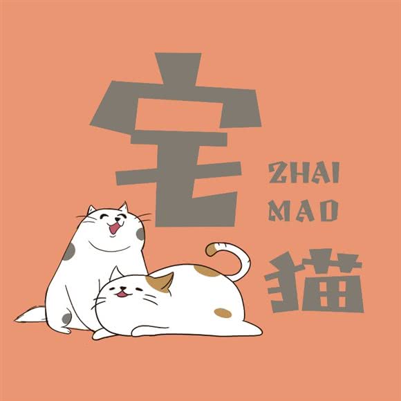 宅猫·猫咪寄养酒店·洗护:西安市未央区文景路附近