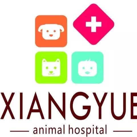 翔悦动物医院:西安市未央区文景路附近
