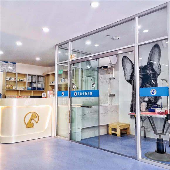 友谊宠物诊所:唐山市路北区友谊北路附近