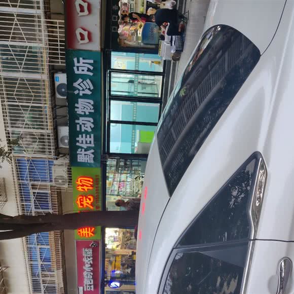 默佳动物诊所:西安市未央区二府庄附近
