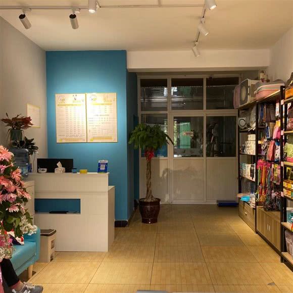 乐萌宠物:西安市未央区三桥附近