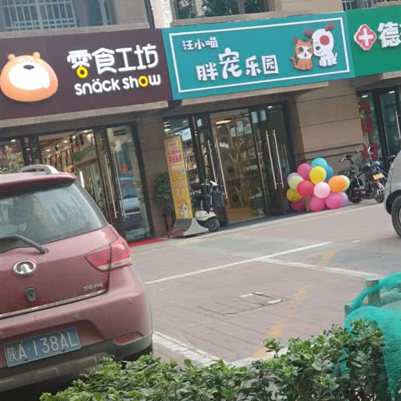 汪小喵胖宠乐园:西安市未央区三桥附近