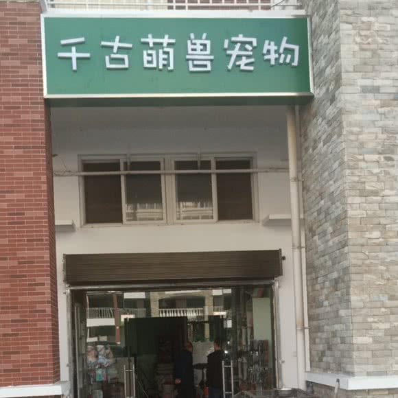 千古萌兽宠物:西安市未央区辛家庙附近