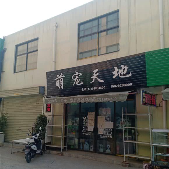 萌宠天地:西安市未央区辛家庙附近