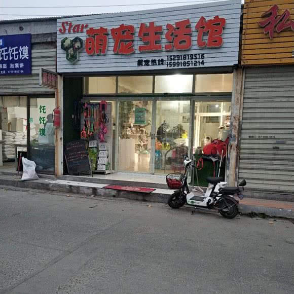 萌宠生活馆:西安市未央区辛家庙附近