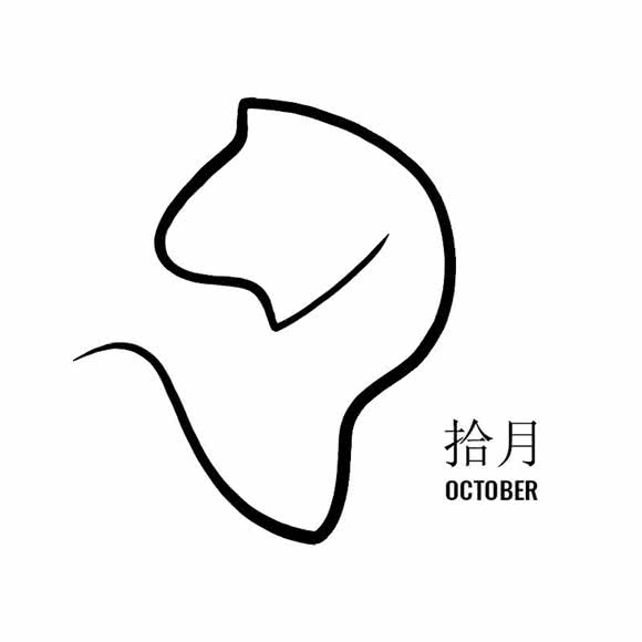 October Pet 拾月宠物:西安市未央区辛家庙附近