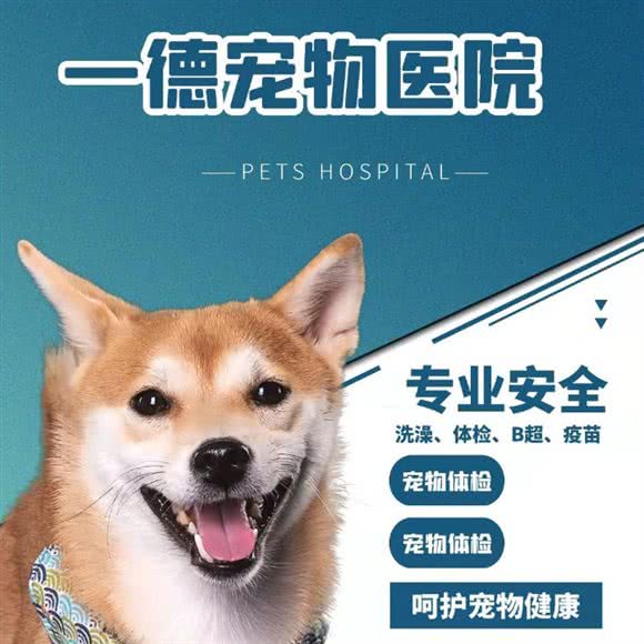 一德宠物医院:西安市未央区辛家庙附近