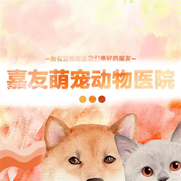 嘉友萌宠动物医院:西安市未央区辛家庙附近