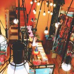 宠物管家:西安市未央区太华路沿线附近