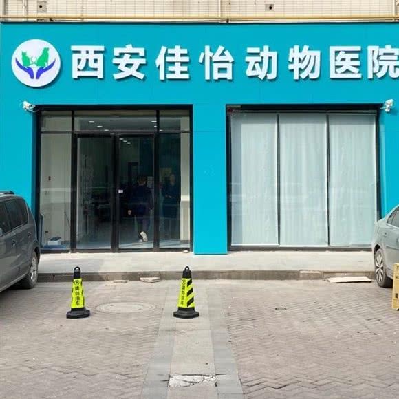 西安佳怡动物医院24小时:西安市未央区太华路沿线附近