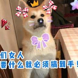 普康宠物医院:西安市未央区太华路沿线附近