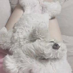 爱尚宠物休闲吧:西安市未央区城市运动公园附近