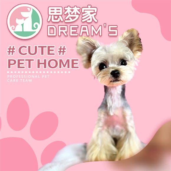 思梦家宠物?白桦林居店:西安市未央区明光路附近