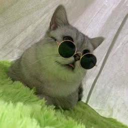 BDP宠物自拍生活馆:西安市未央区大明宫附近