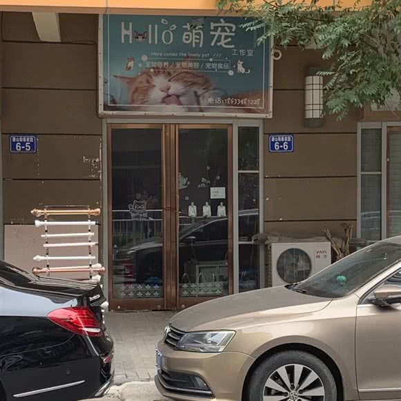HELLO萌宠工作室:唐山市路北区勒泰城附近