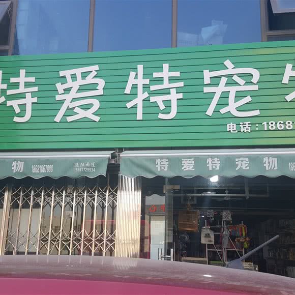 特爱特宠物店:西安市未央区大明宫附近