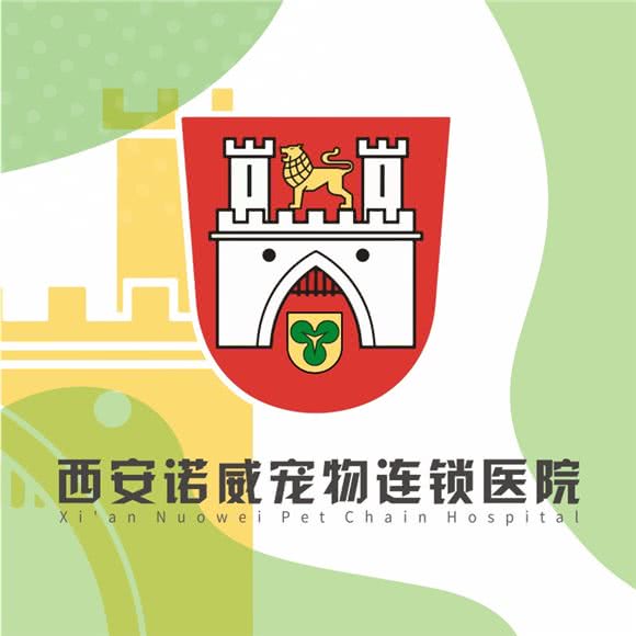 诺威宠物医院(初心分院):西安市未央区大明宫附近