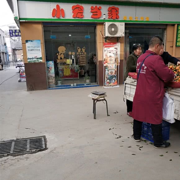 小宠当家:西安市未央区北大学城附近