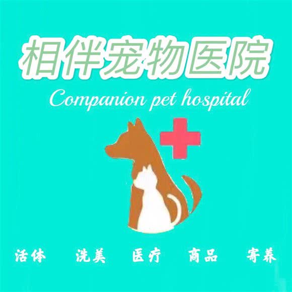 相伴宠物诊所(凤凰城碧桂园总店):西安市未央区北大学城附近