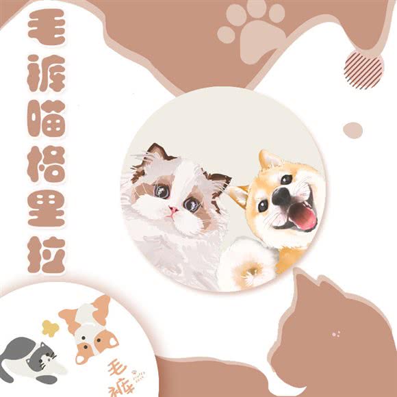 毛裤喵格里拉宠物酒店:西安市雁塔区曲江新区附近