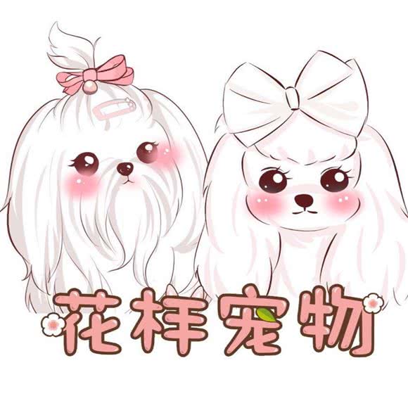 花样宠物生活馆:西安市雁塔区曲江新区附近