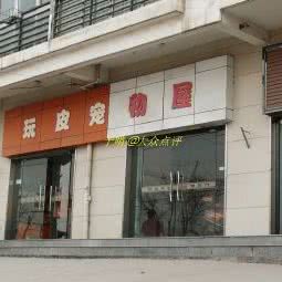 顽皮宠物屋:西安市雁塔区曲江新区附近
