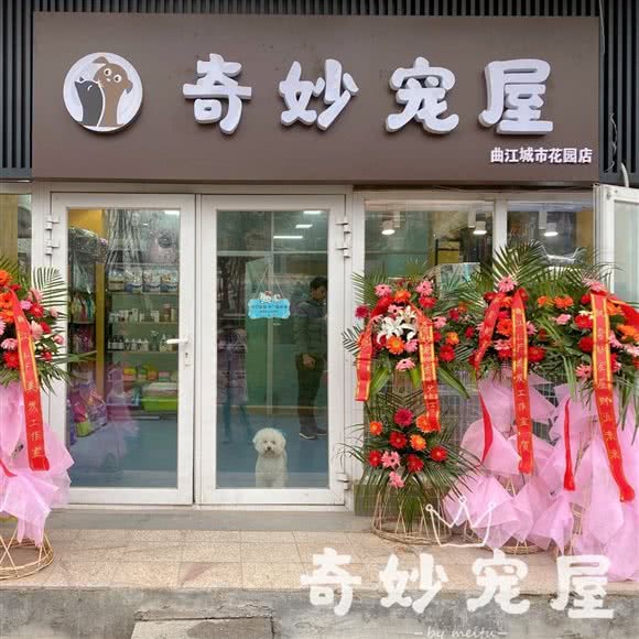 奇妙宠屋宠物狗俱乐部:西安市雁塔区曲江新区附近